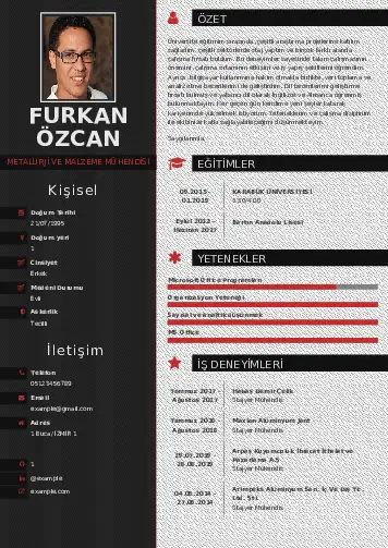 cv indir
